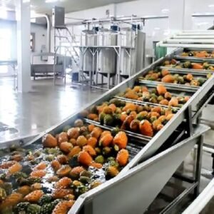 Machine de fabrication de jus de fruits