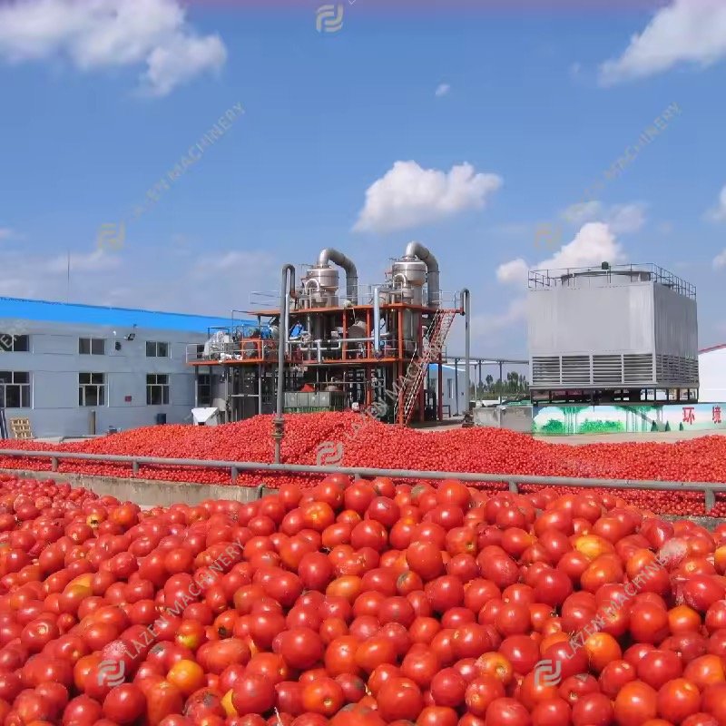 Machine de fabrication de sauce concentrée de tomates – Image 2