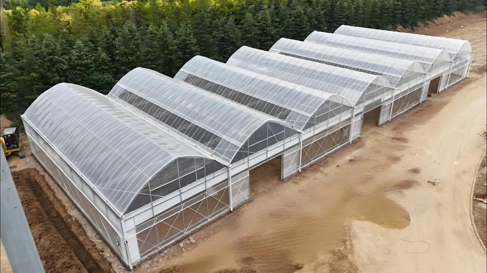 Cage d’élevage des poules pondeuses, poulets de chaire, cailles, Autruches,… – Image 4