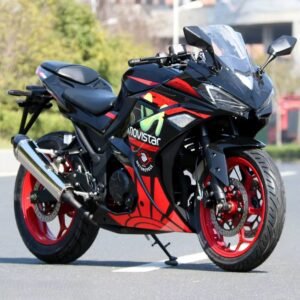 BL R6 KAWASAK Ninjas