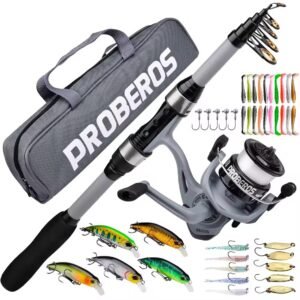 Canne à pêche télescopique en vibre de verre